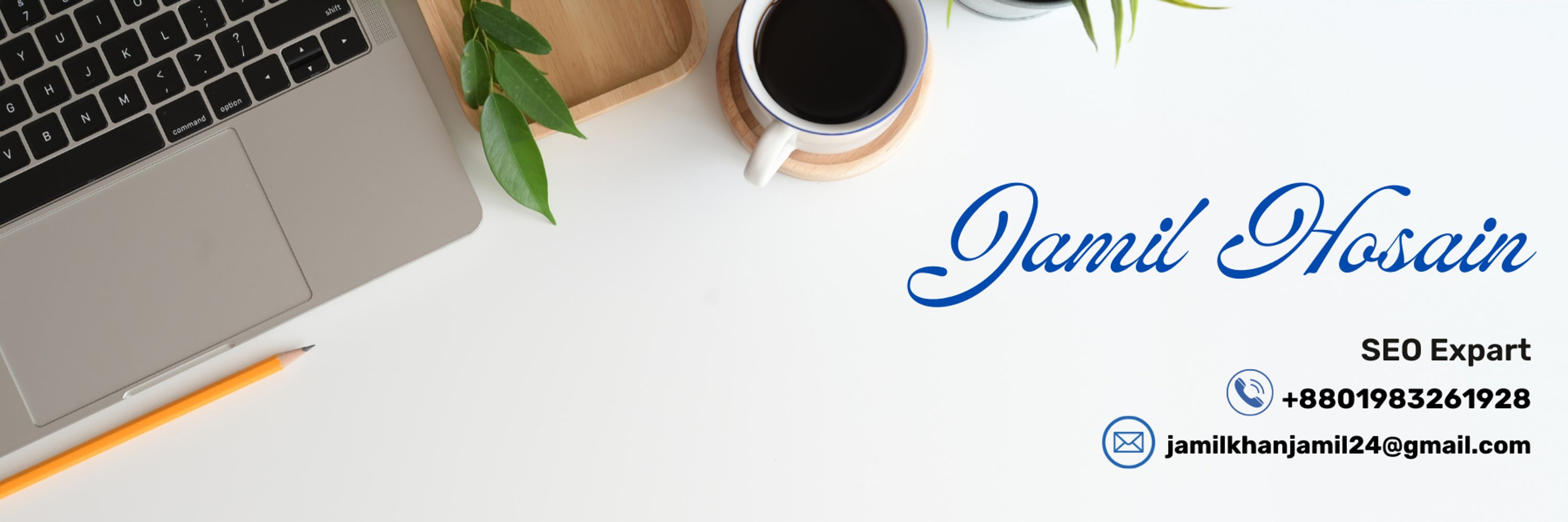 Md Jamil Hosain | Professional SEO Expert