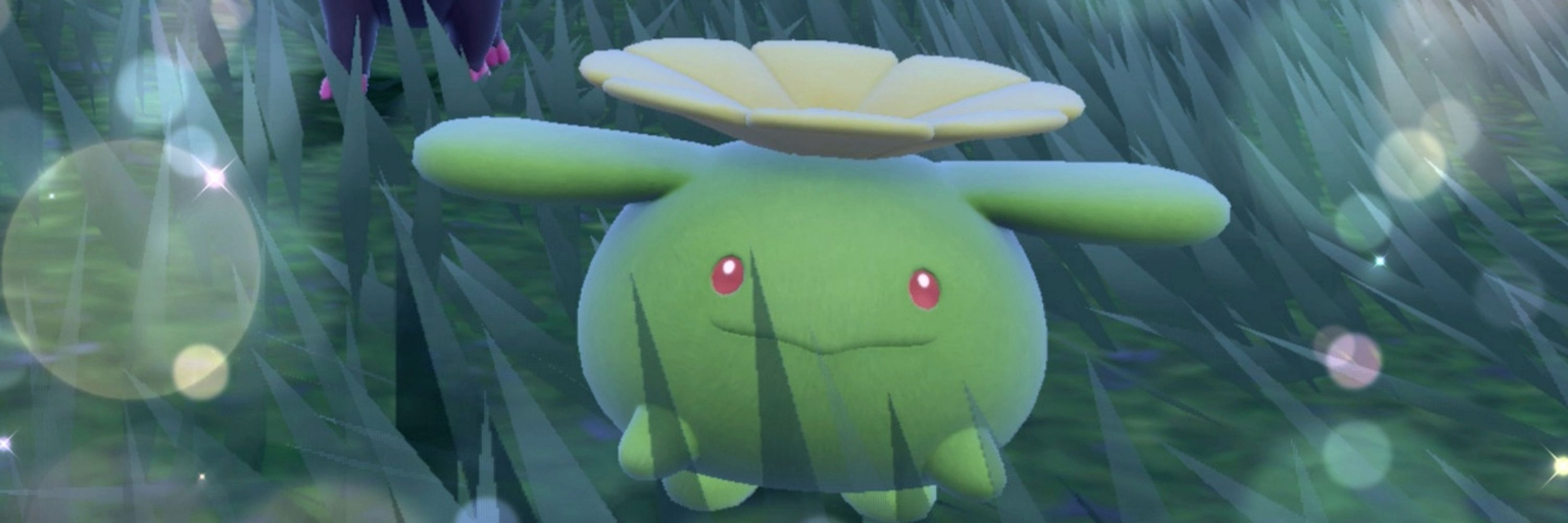 ponpoko