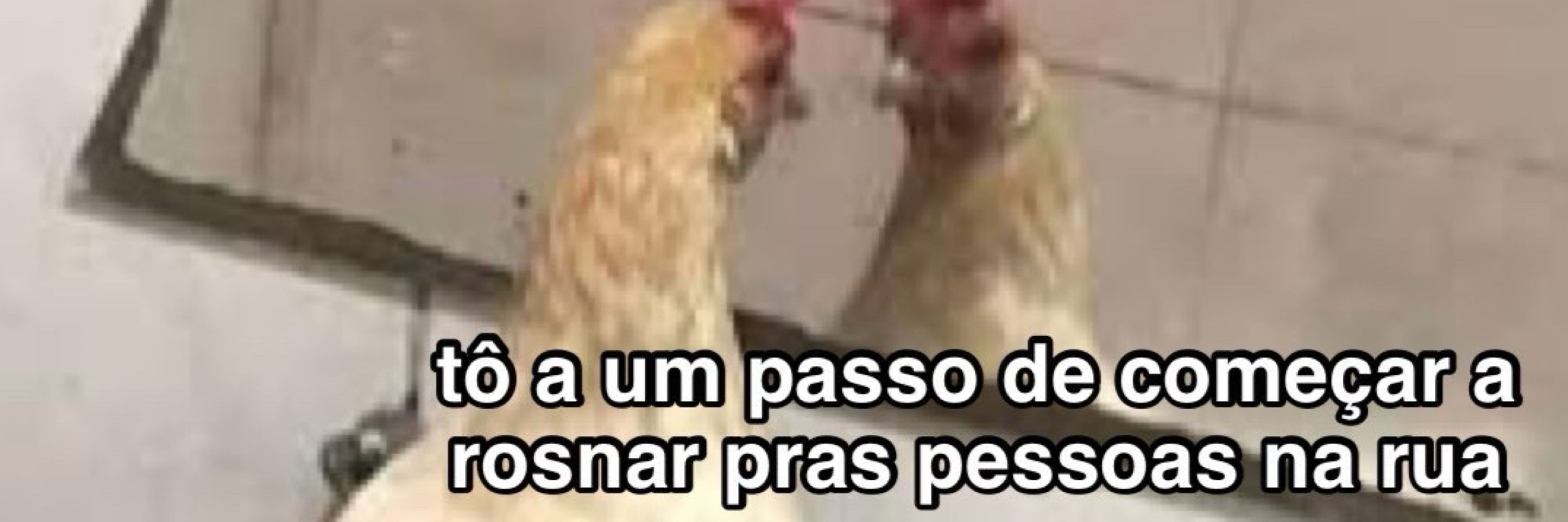 *babi
