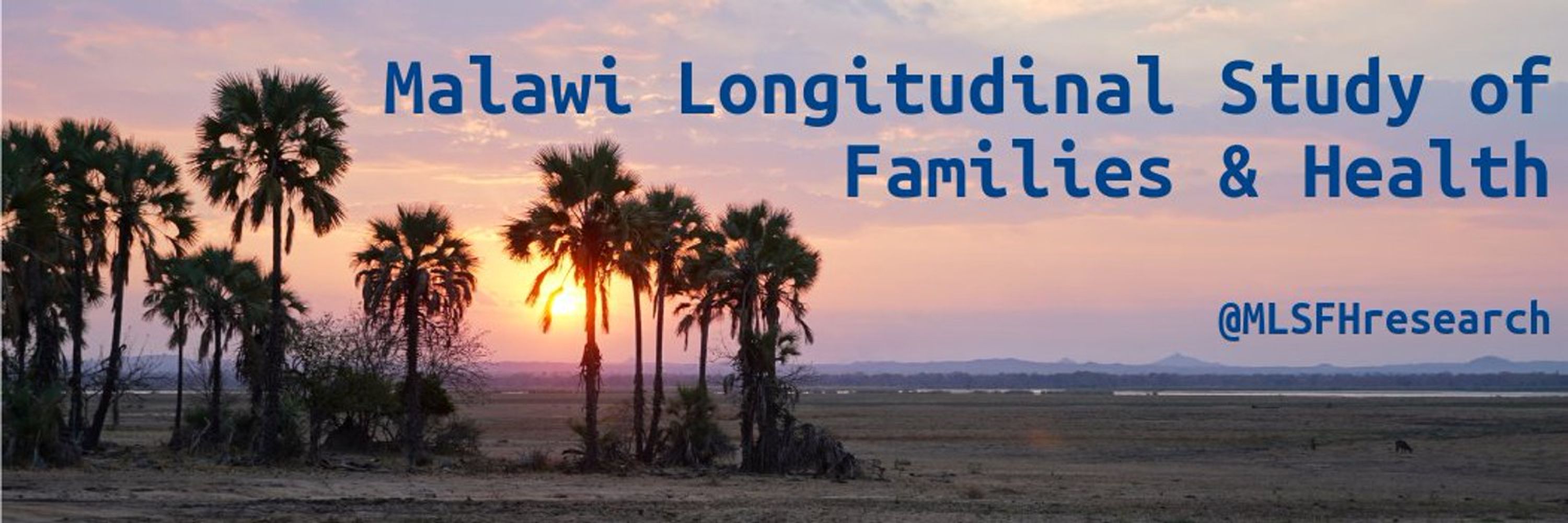 MLSFH: Malawi Longitudinal Study Families & Health