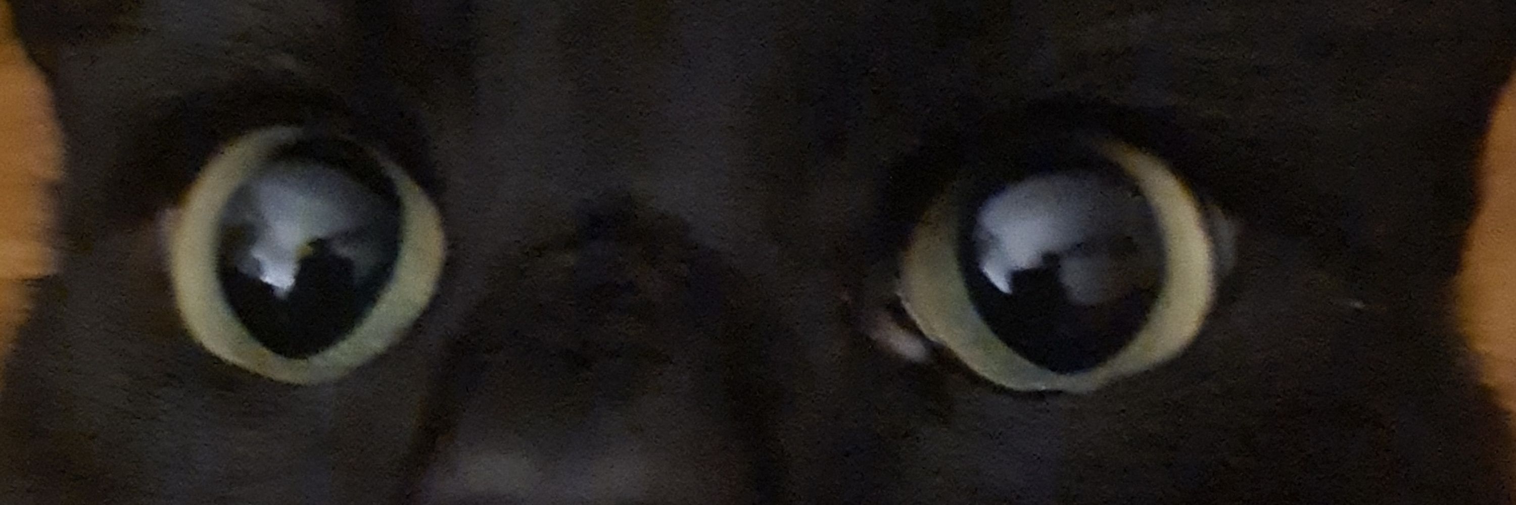 No'