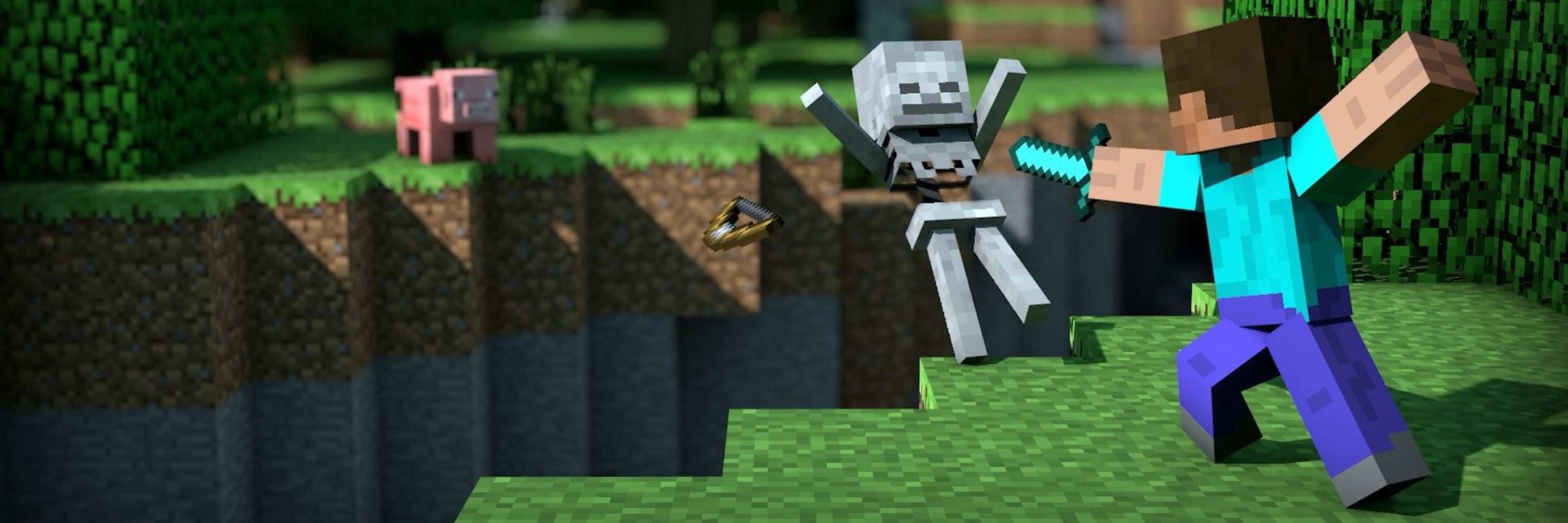 WaybackSMP (COMING SOON)
