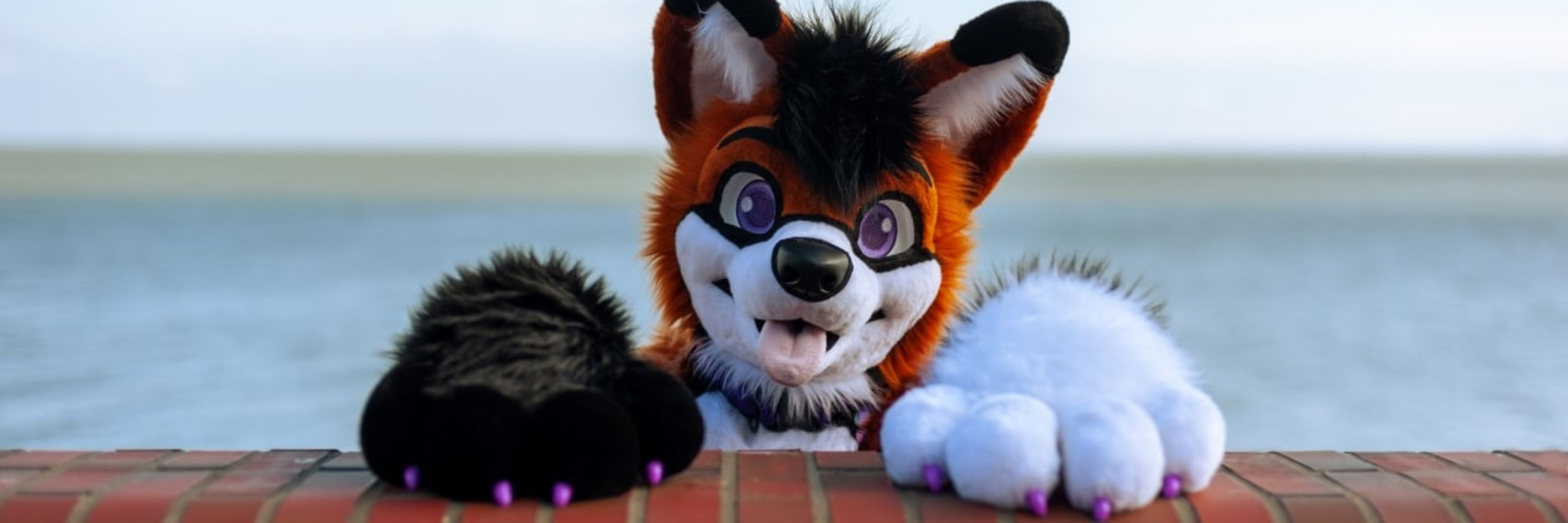 Smol 🦊