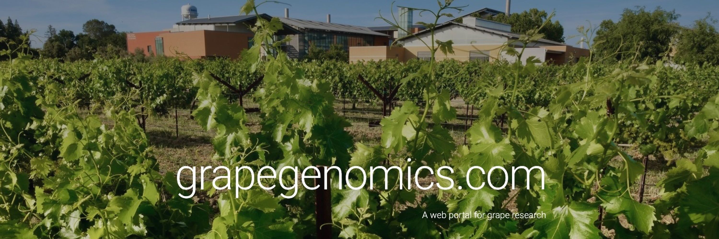 GrapeGenomics
