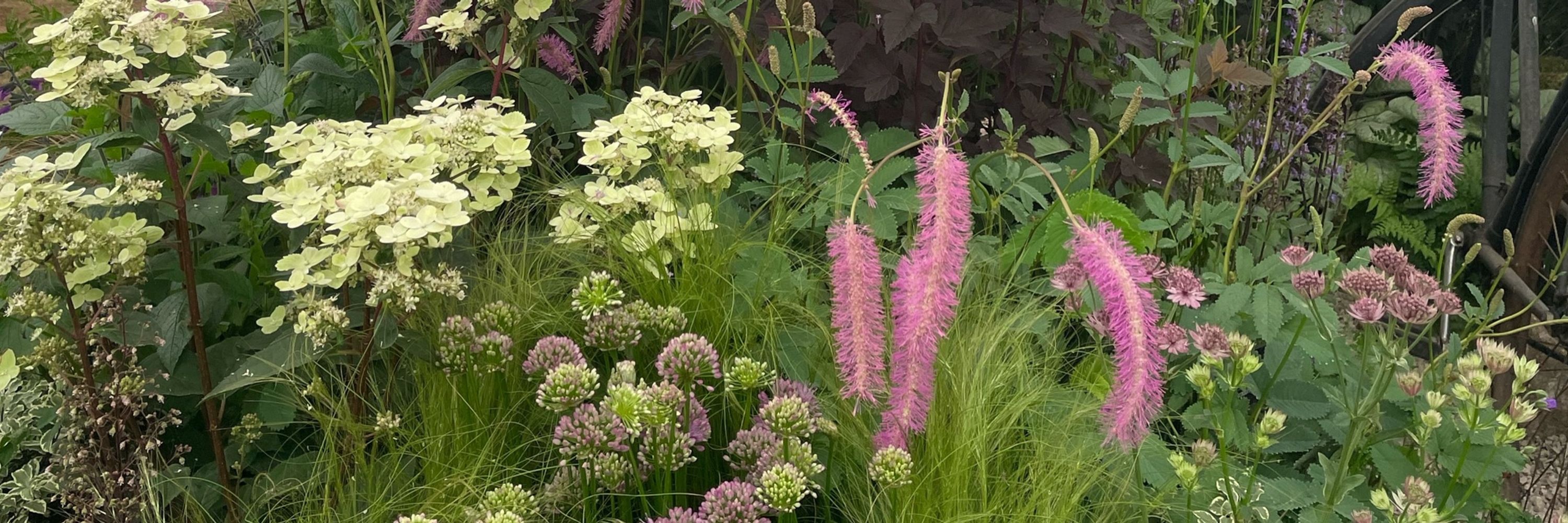 Tissington Nursery
