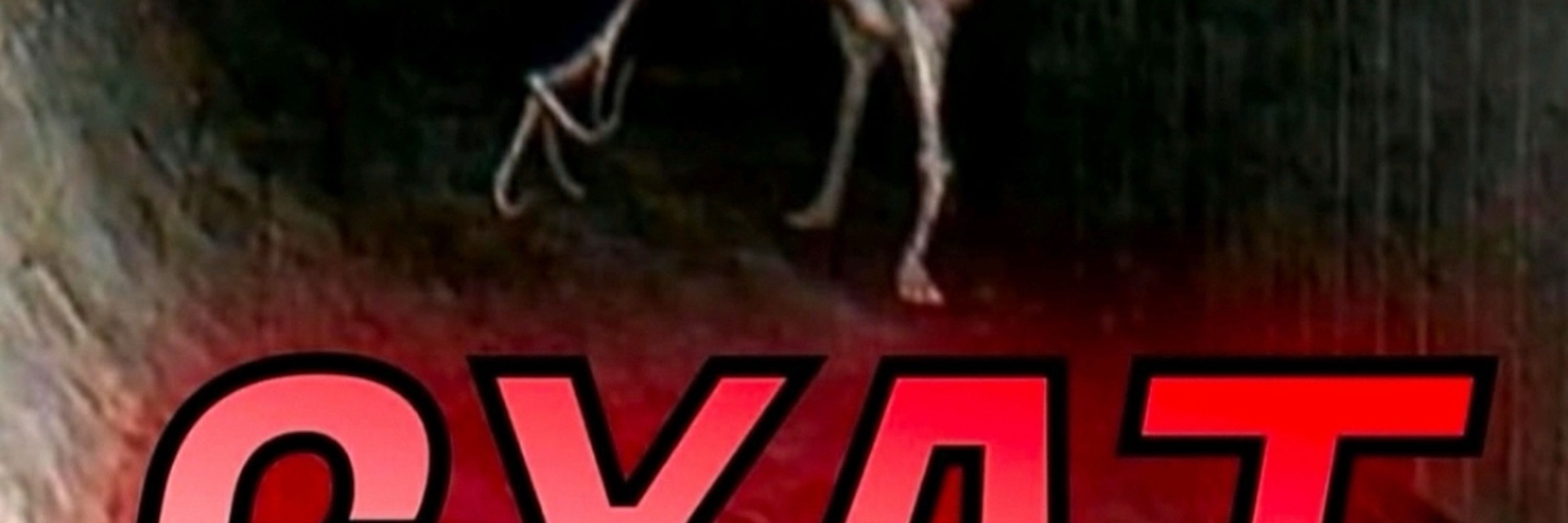 W3B·-·