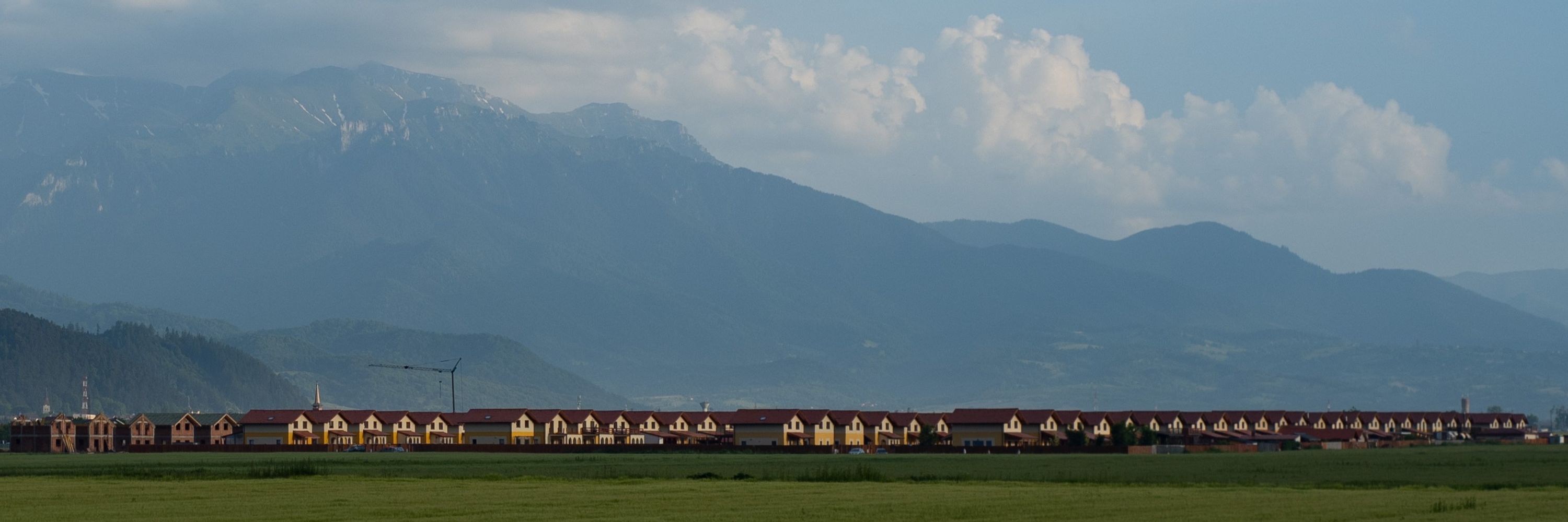 Tzahi Wol.