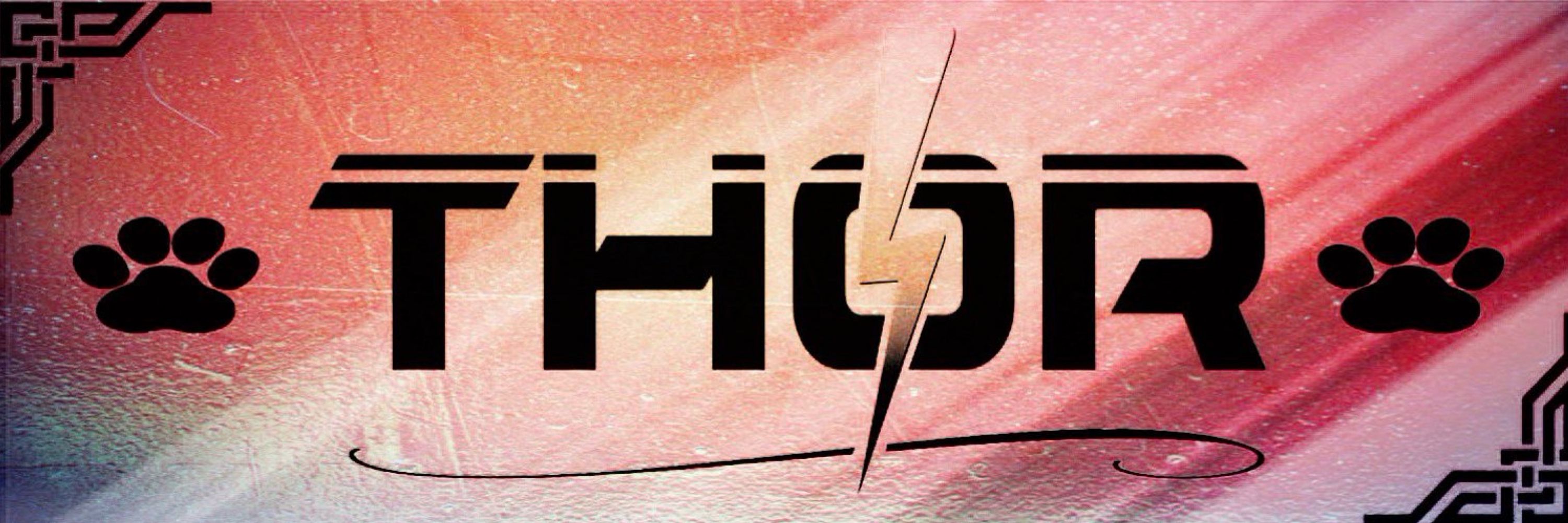 丅卄ㄖ尺 ⚡️