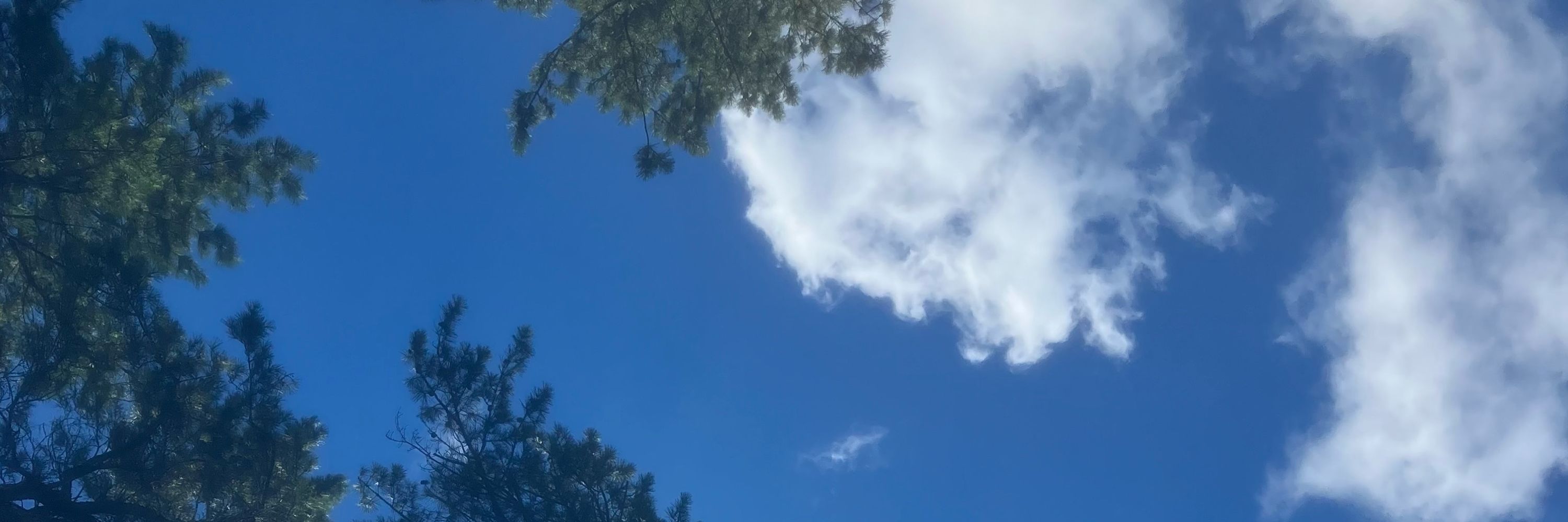 かめのぞき
