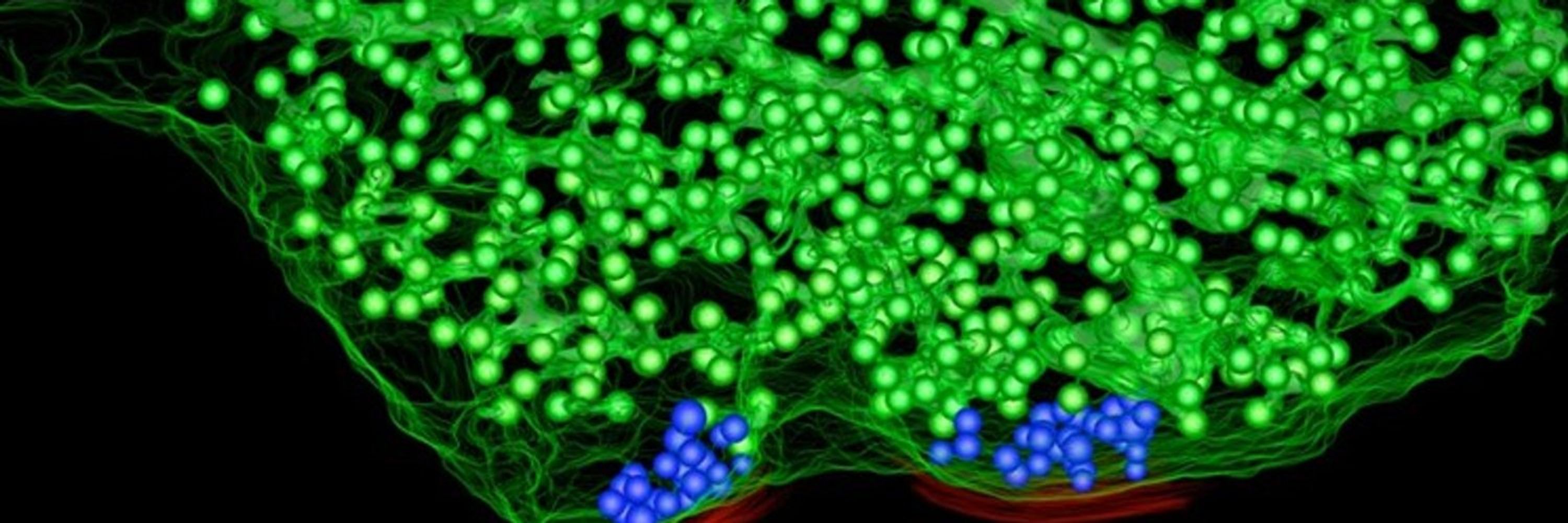 De Camilli Lab