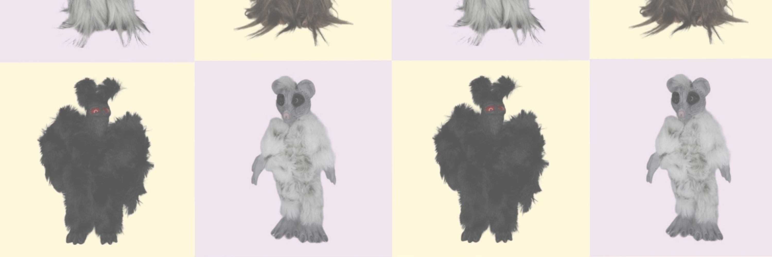 Kiwi's Cryptids