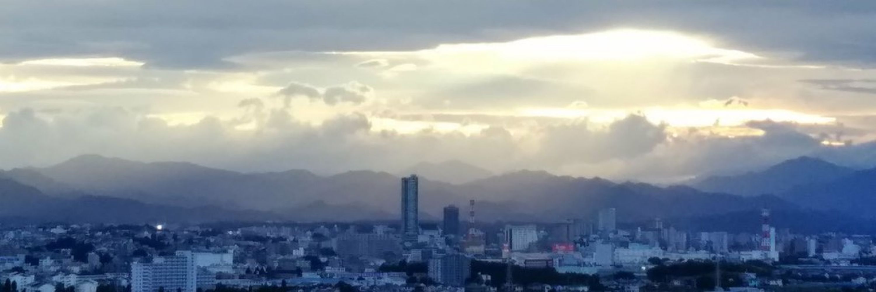 たな
