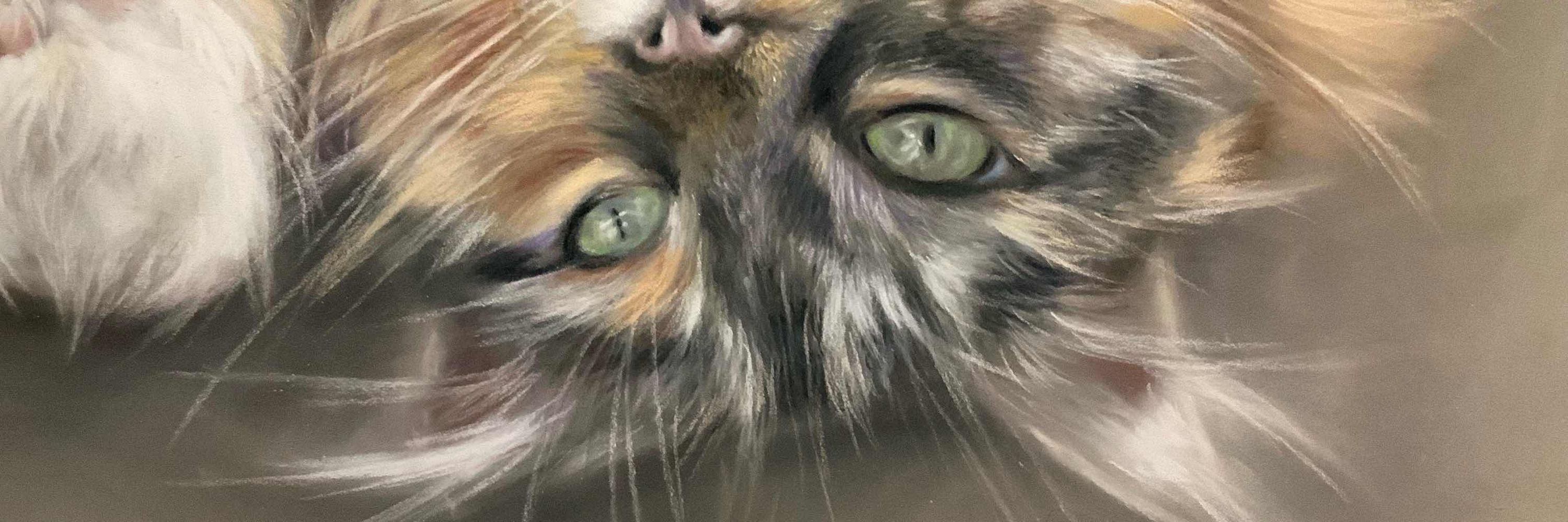 Tierportraits