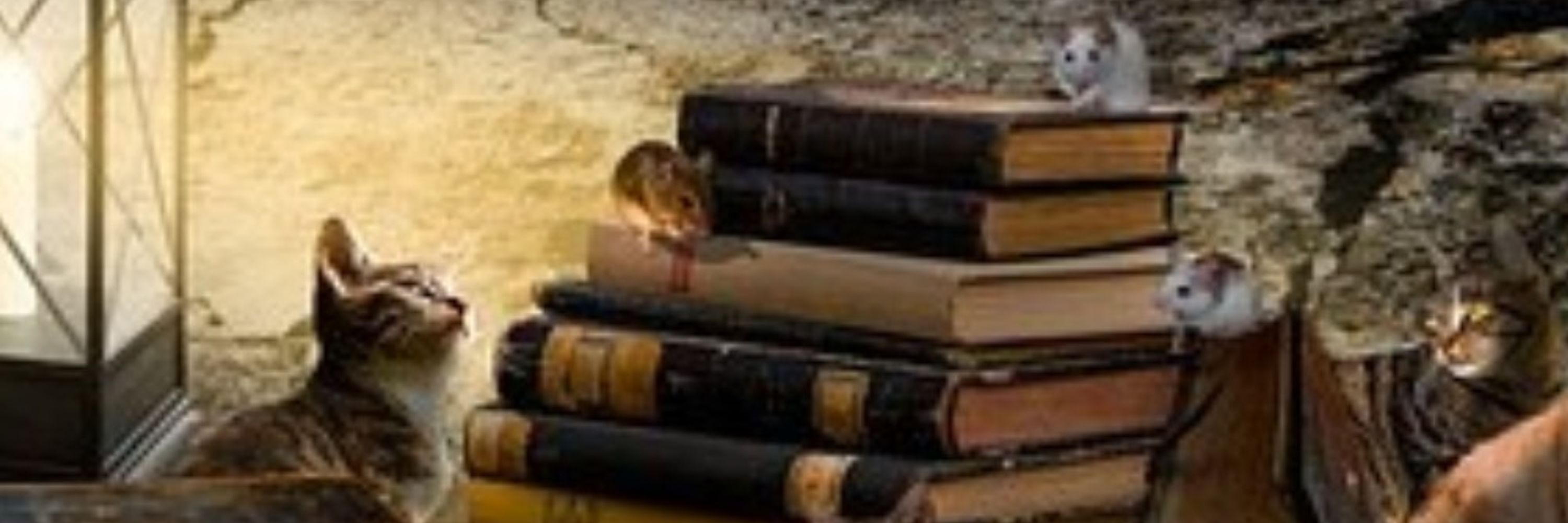 CMS Research & Genealogy