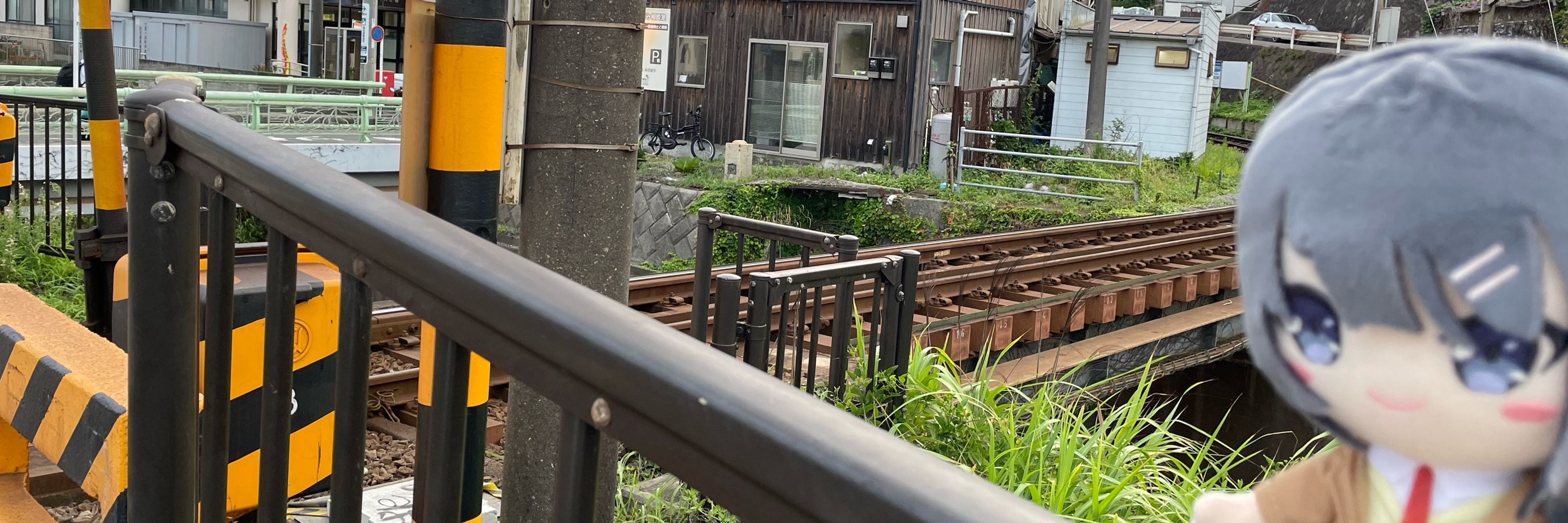 さきこ