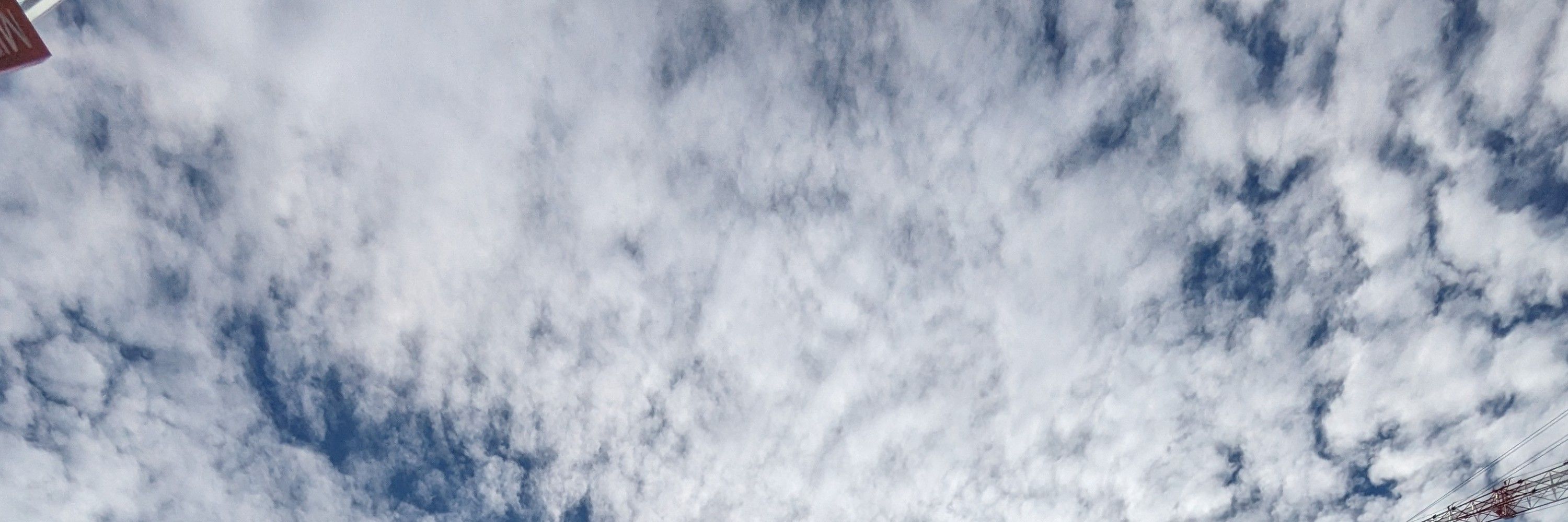 マイマイ．Ｋ(Blueskyのすがた)