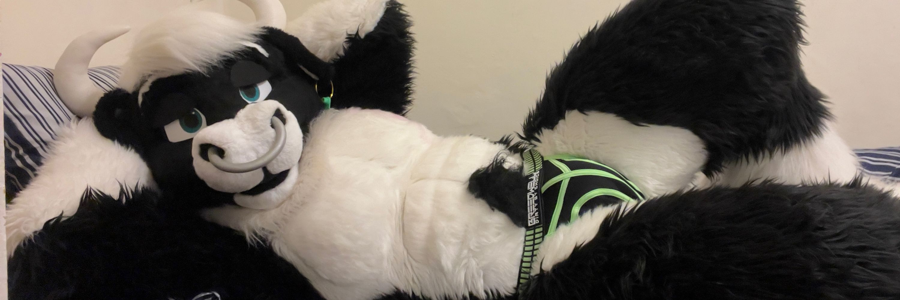 Steele's Underwear Escapades