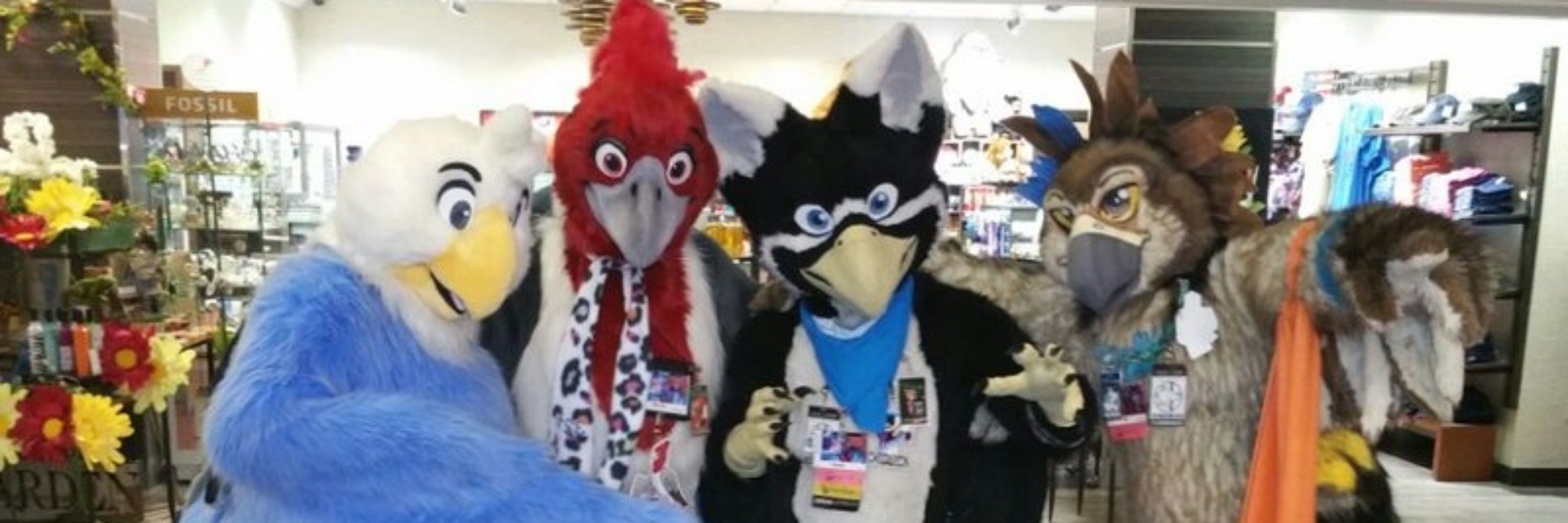 CocoEagle
