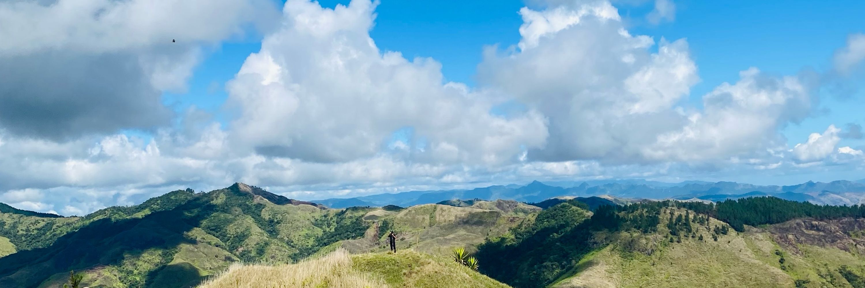 Talanoa Consulting