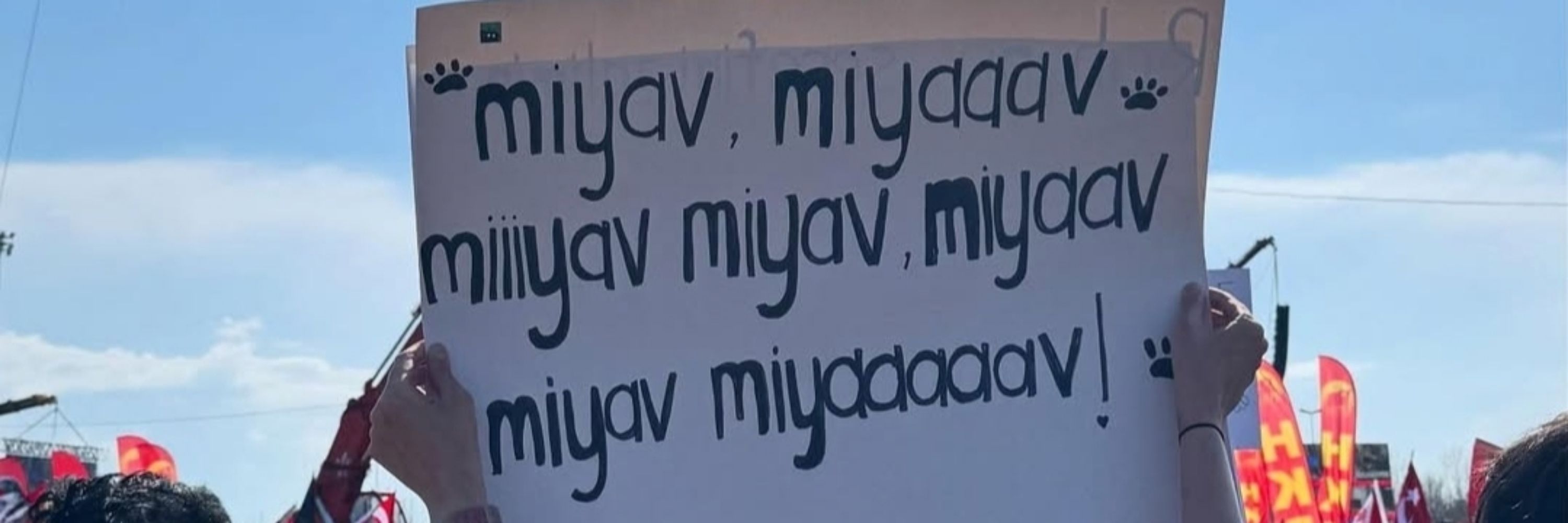 damlalay