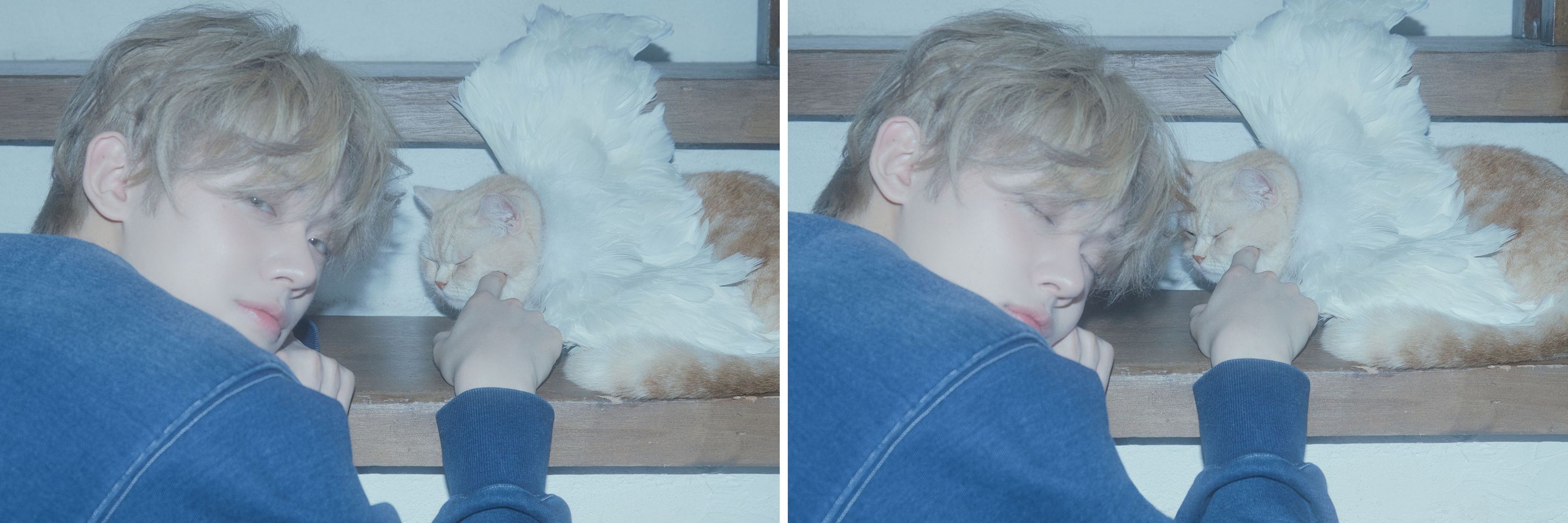 ᯓ✦ Mazarini ✦ ‘SANCTUARY’ ✧₊⁺