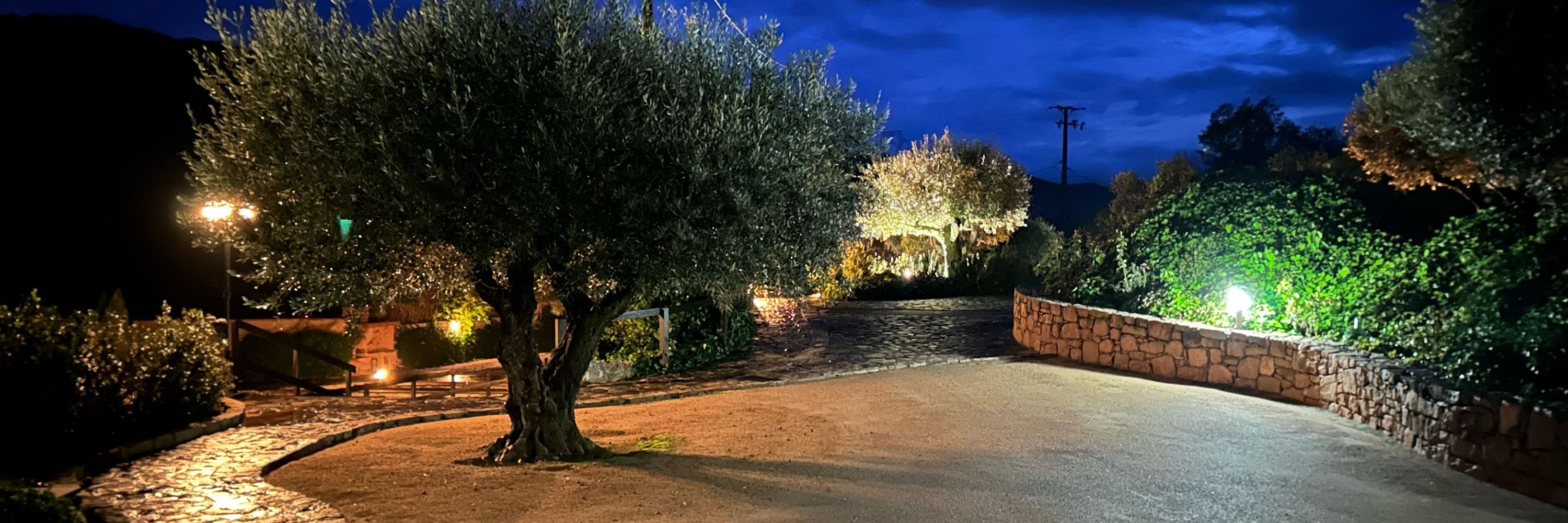 Antoni Garrell i Guiu