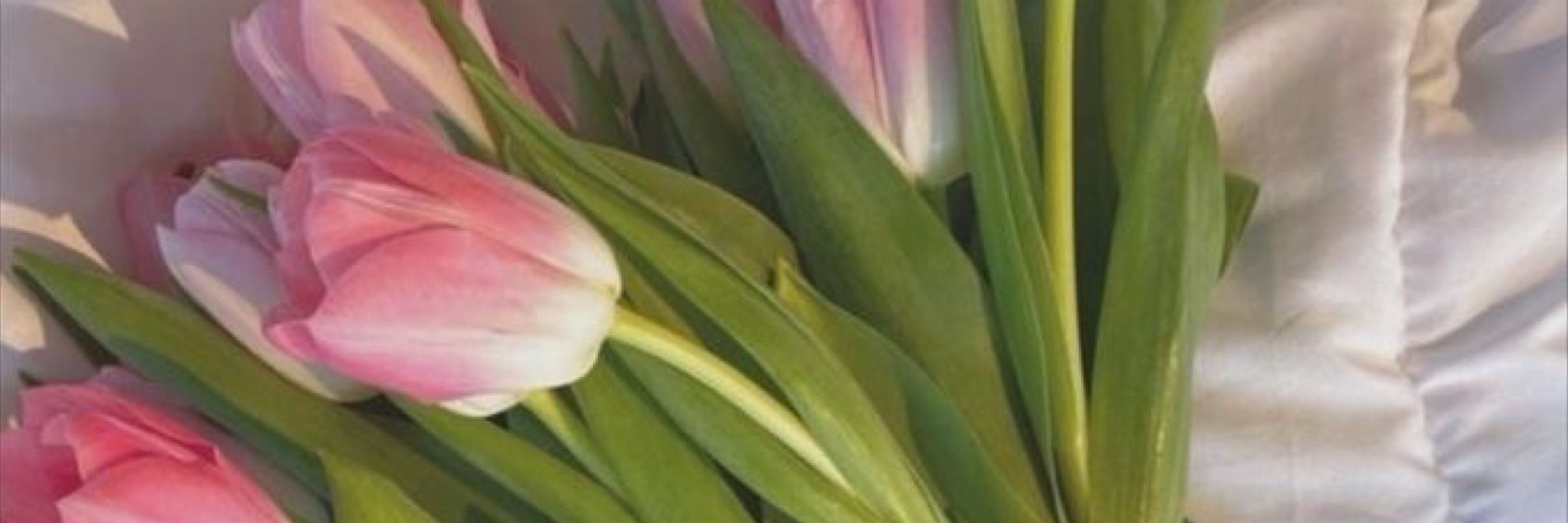 ju 🌷