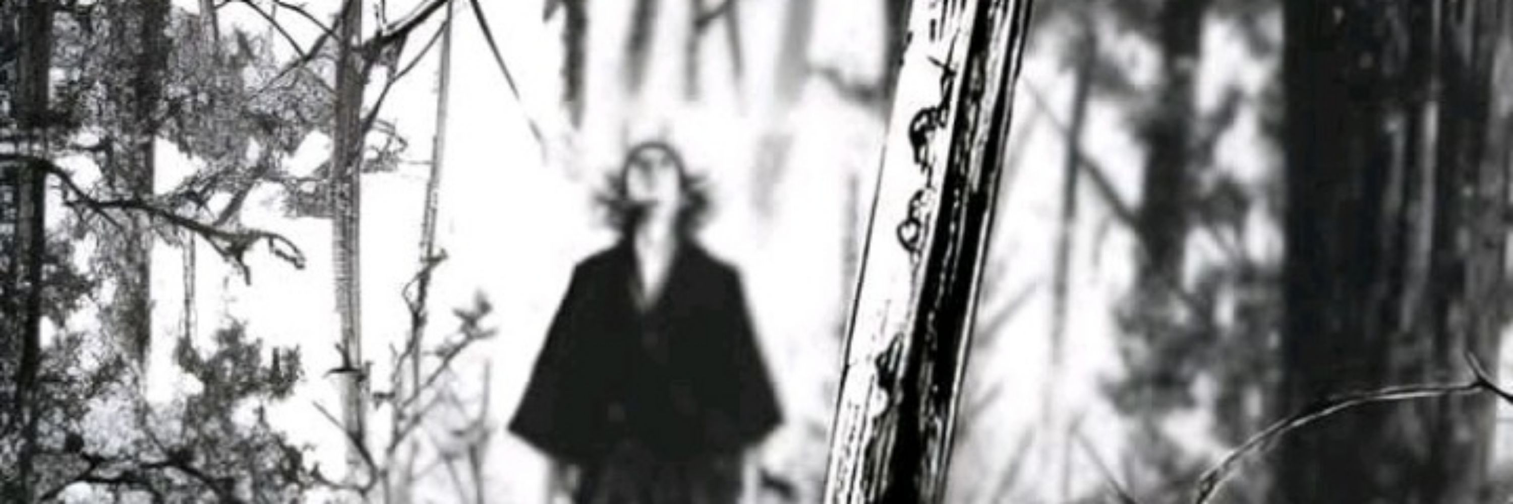 Shadow