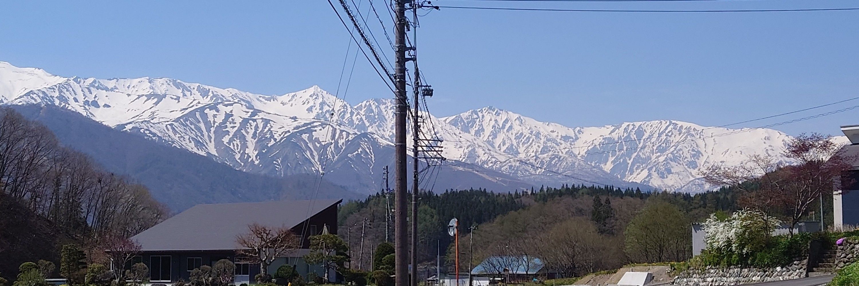 ぺんどら