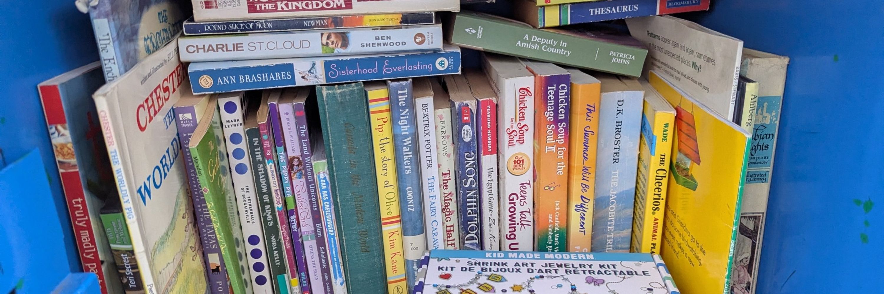 Alder Street Little Free Library