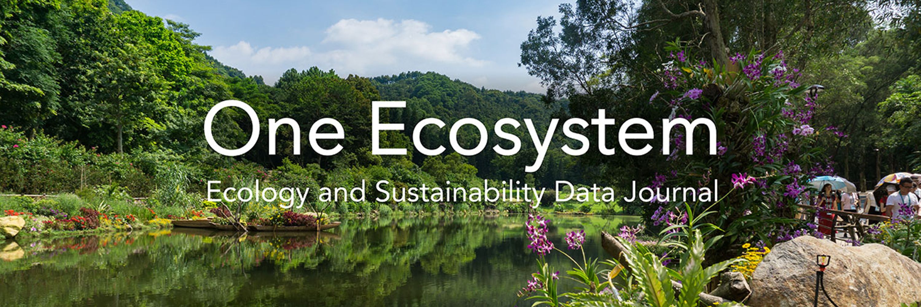 One Ecosystem