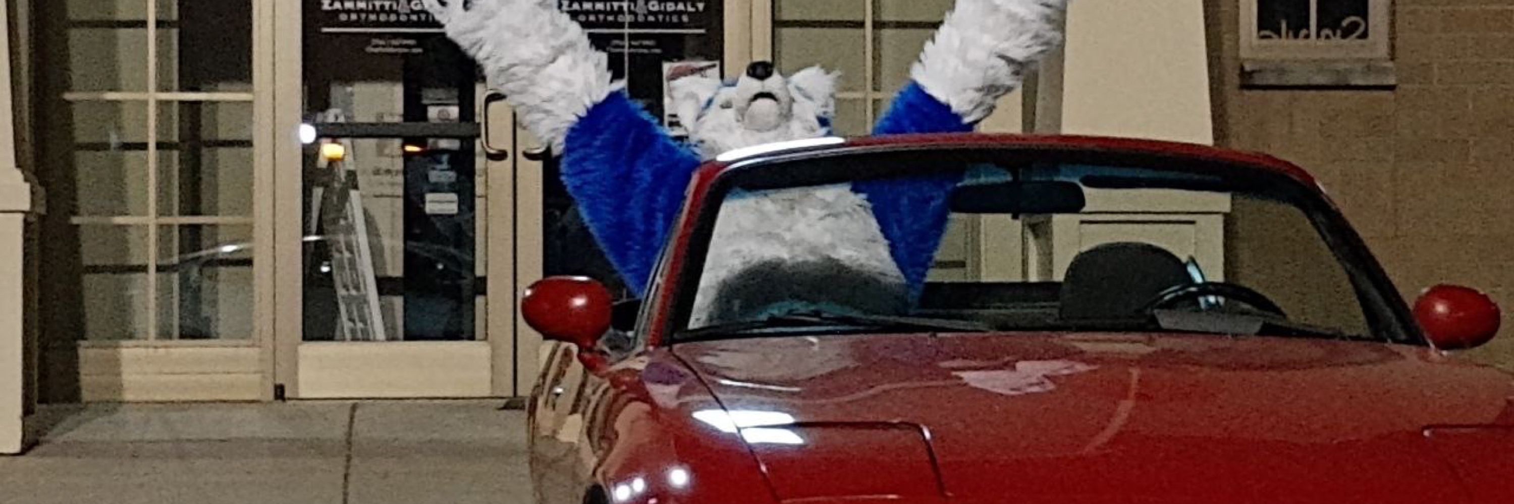 FluffersHusky