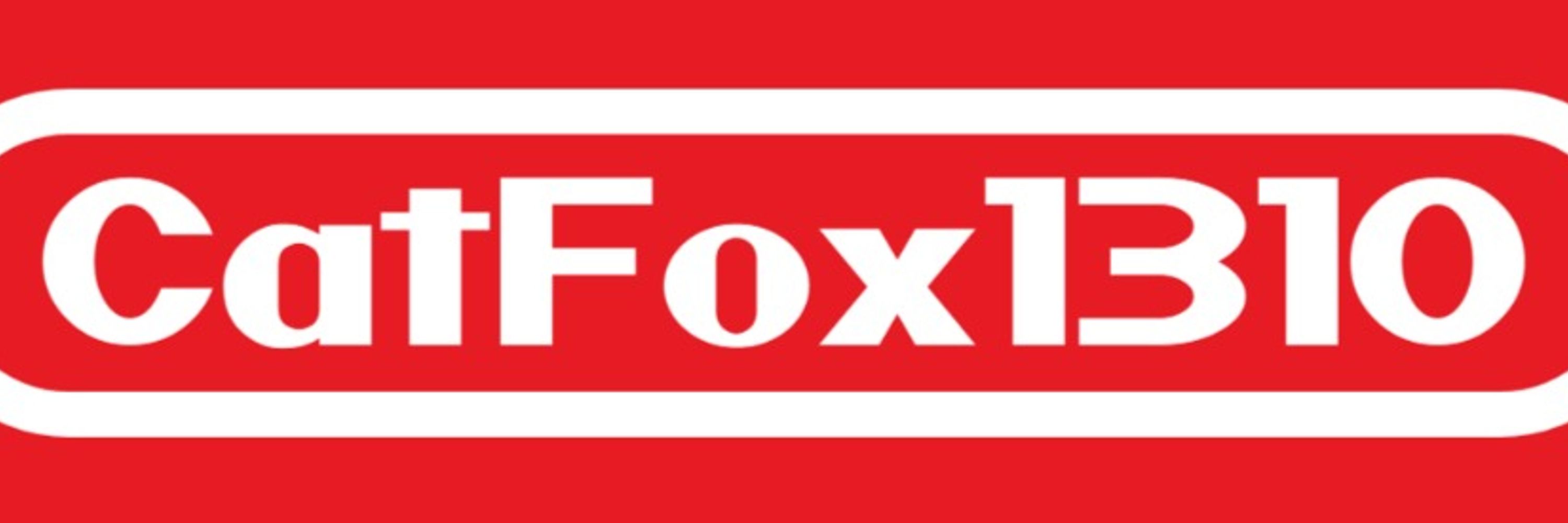CatFox1310