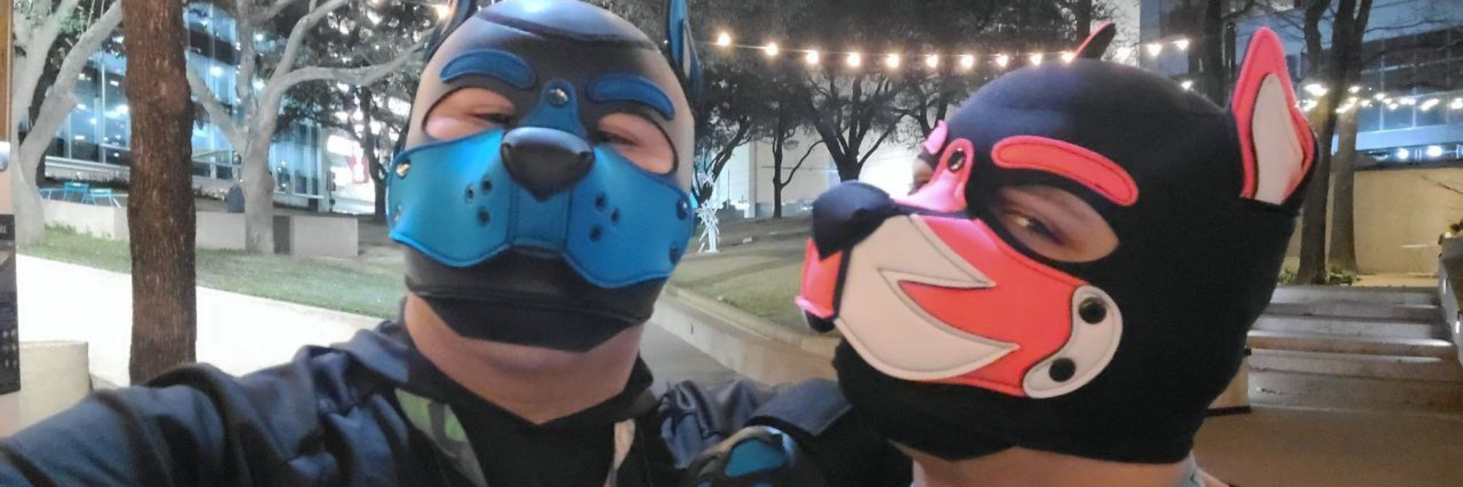 Pup Entity