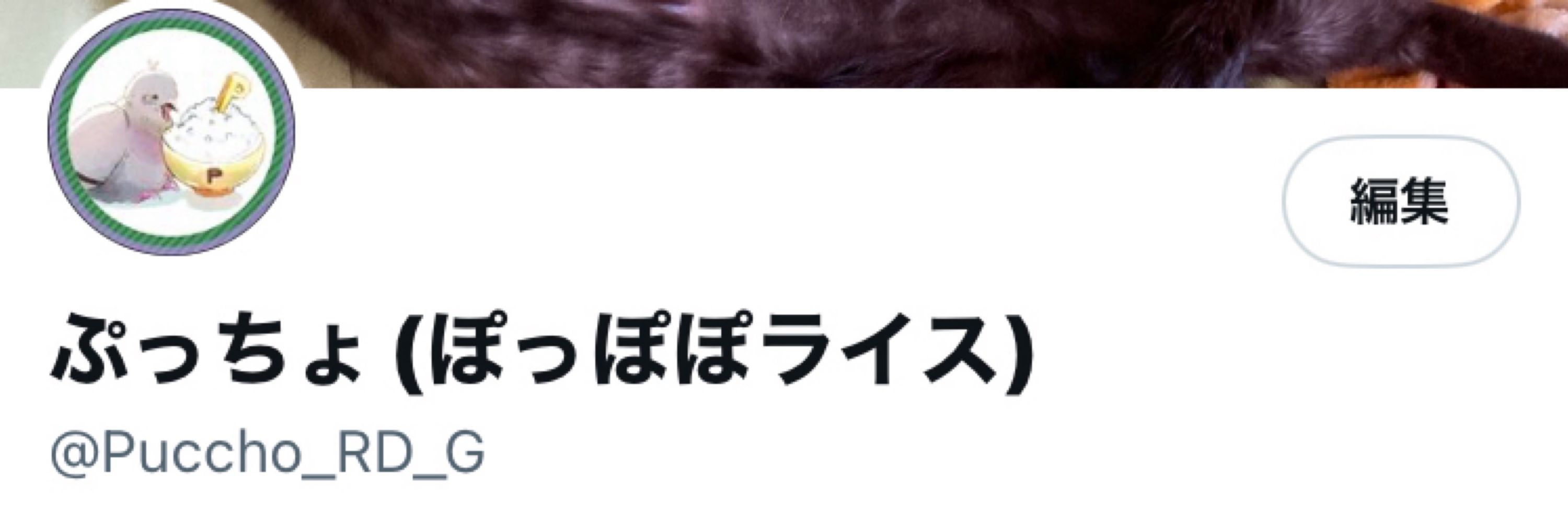 ぷっちょ