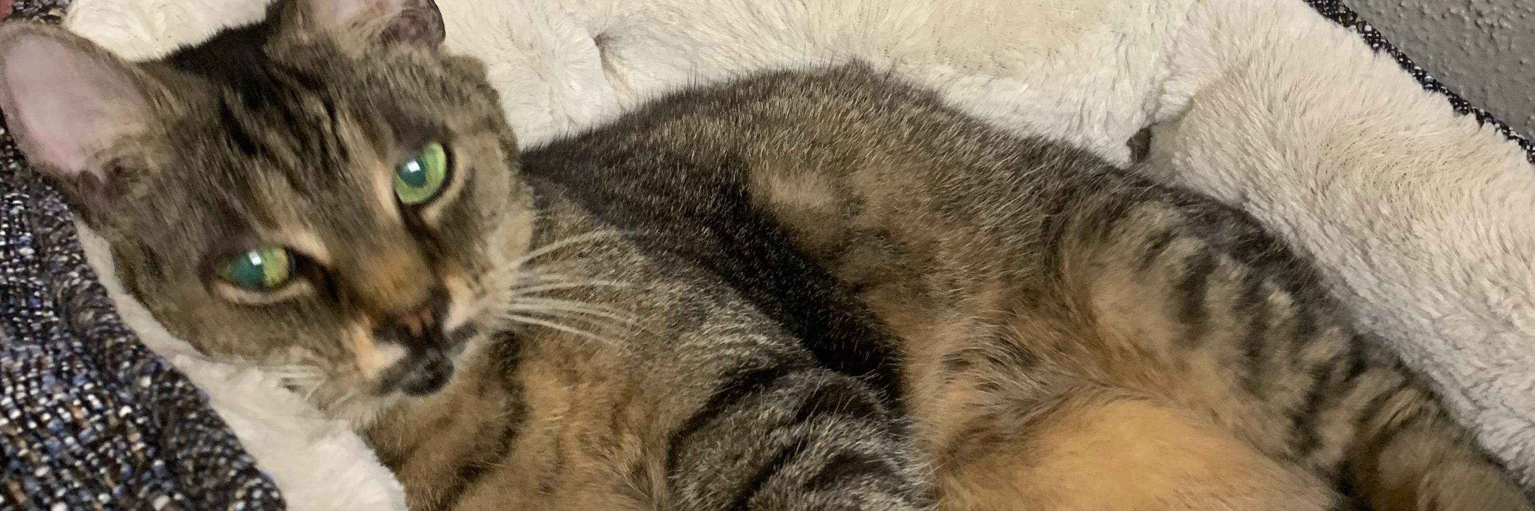 Eli 🖋️