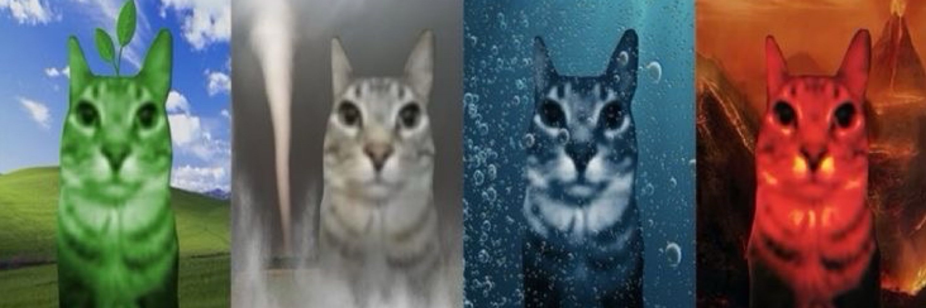 leozito