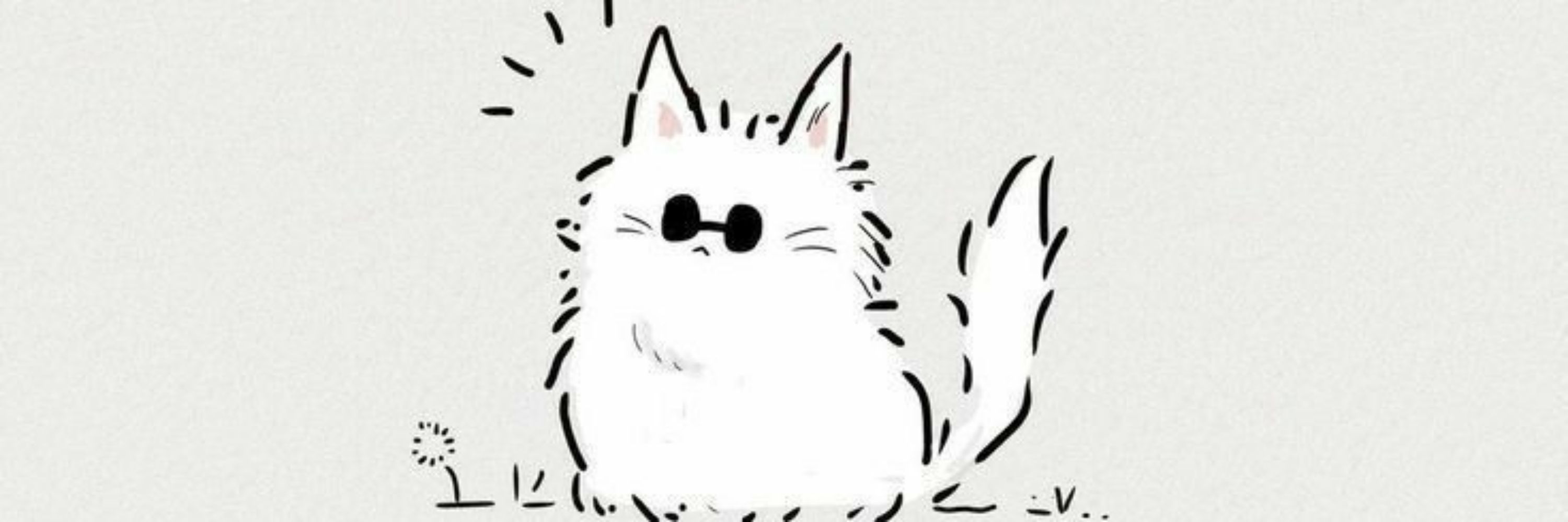 ˗ˏˋꜱᴀɴᴀ´ˎ˗ 