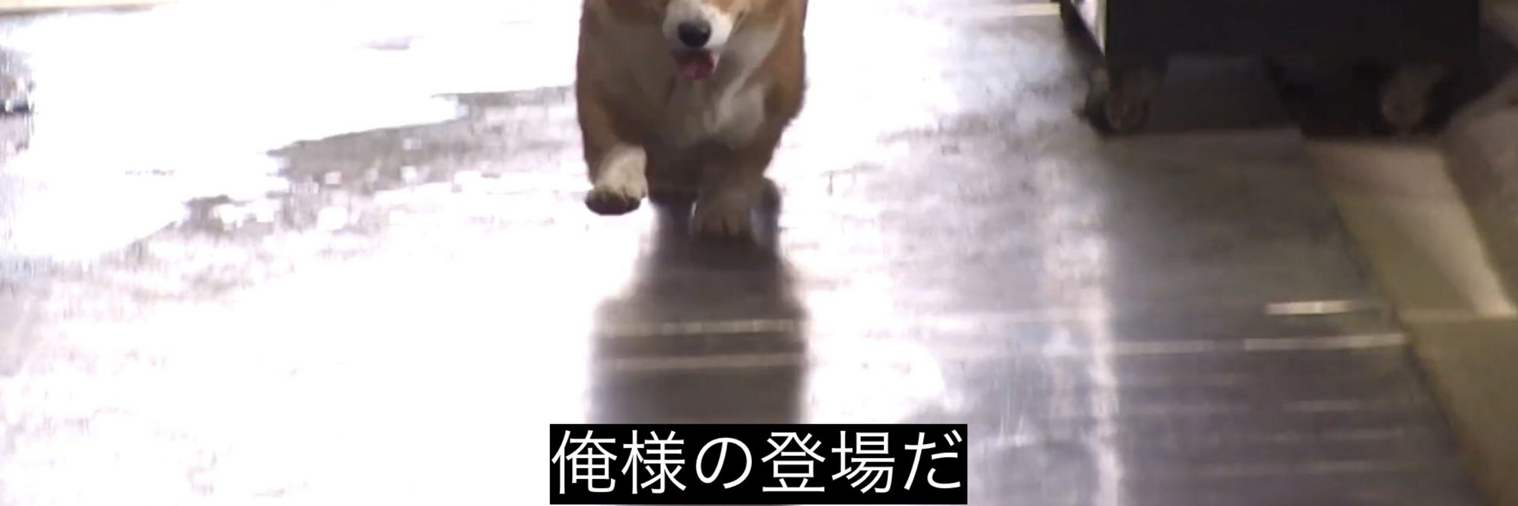 serafiru