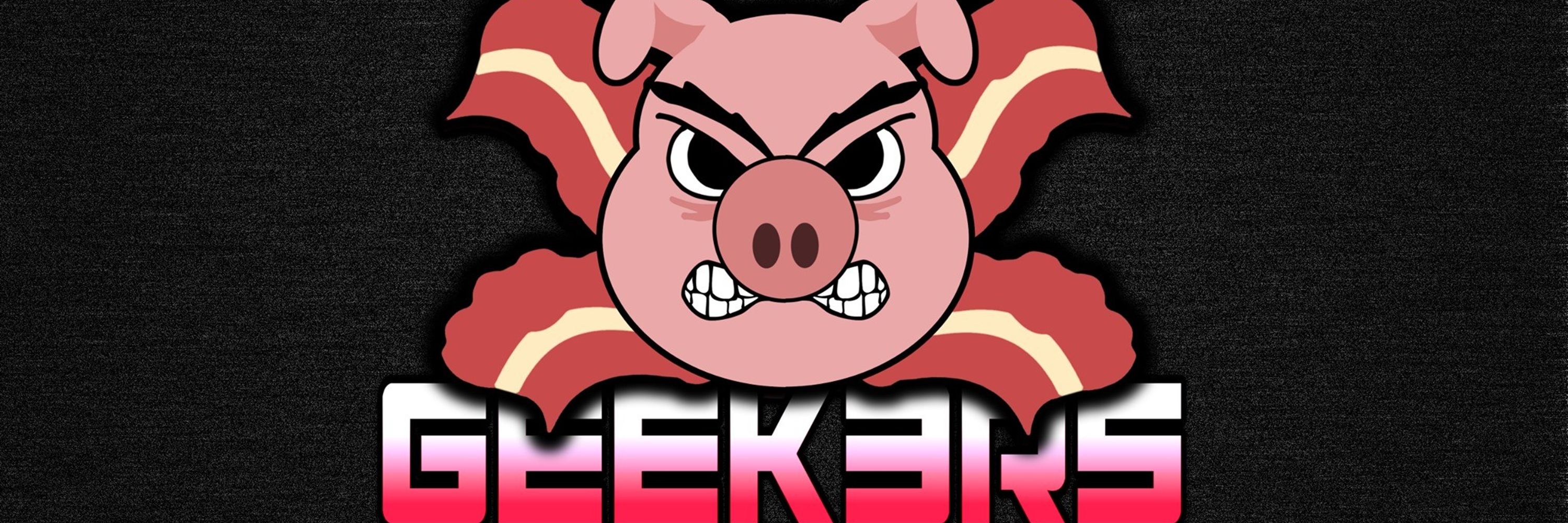 Geek3rs