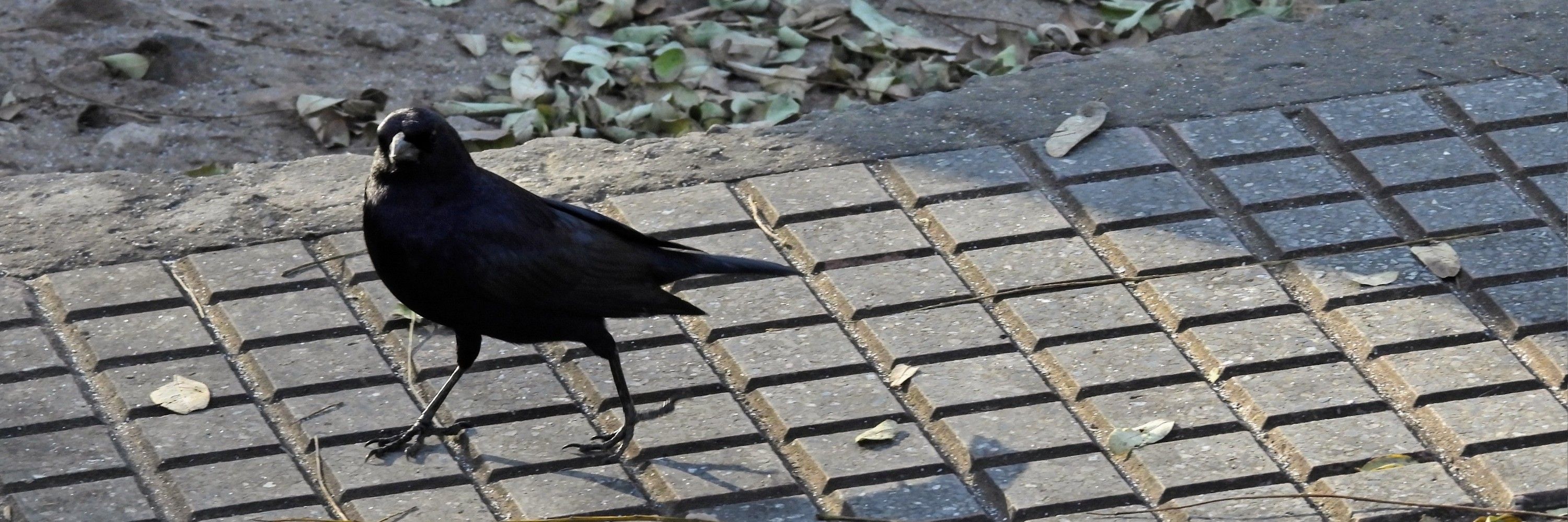 🐦 M@yr@ 🐦
