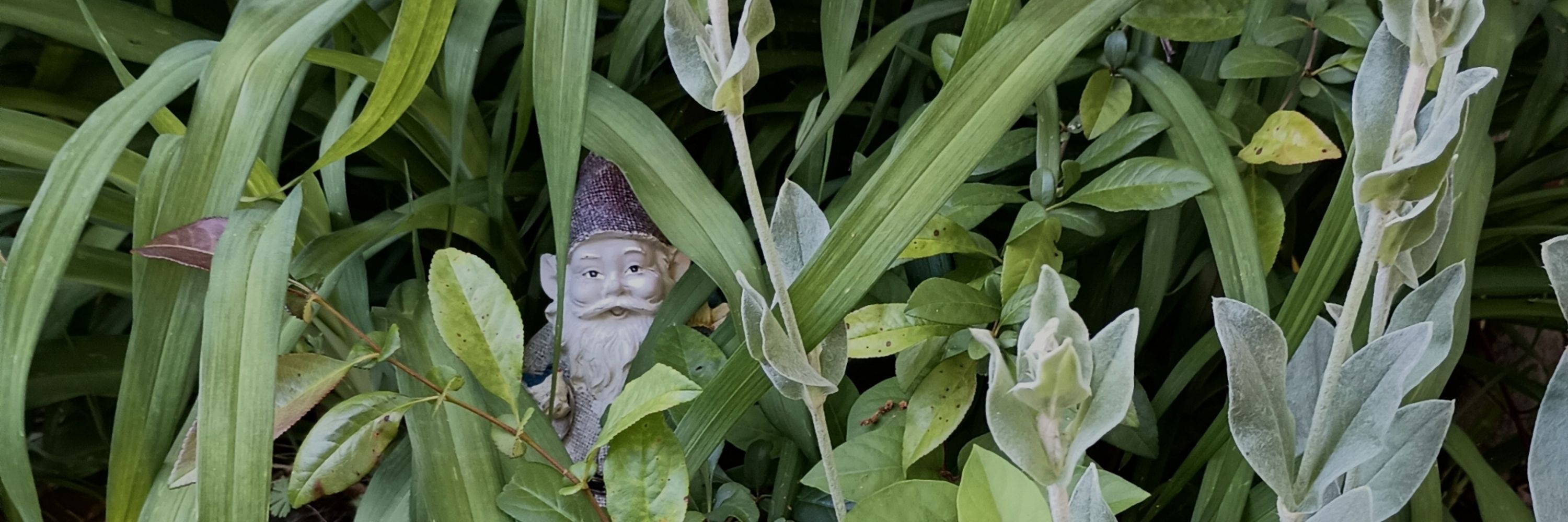 Sarbonca
