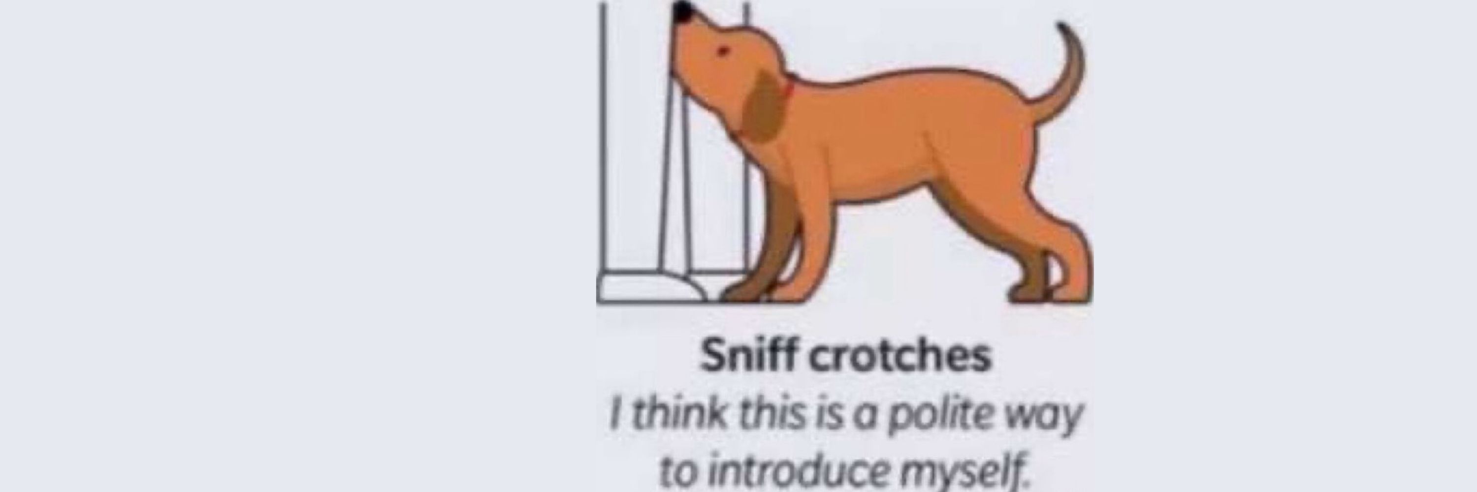 awrrrf 🐾⚧️🔞
