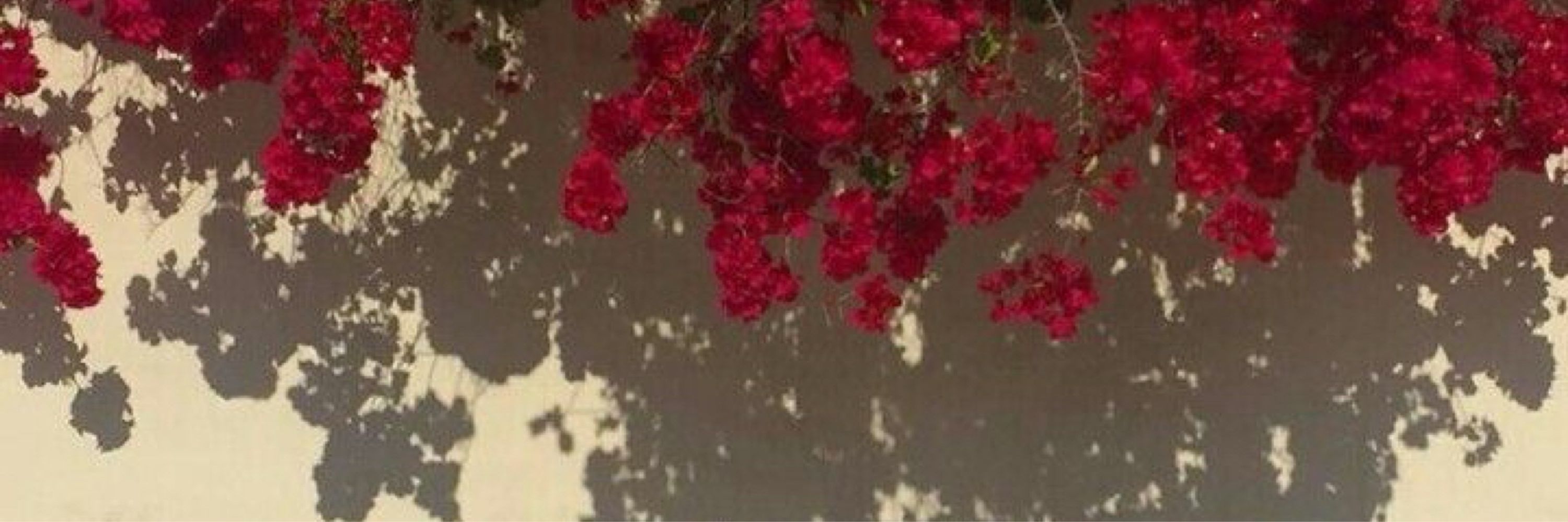 ❥ Bel