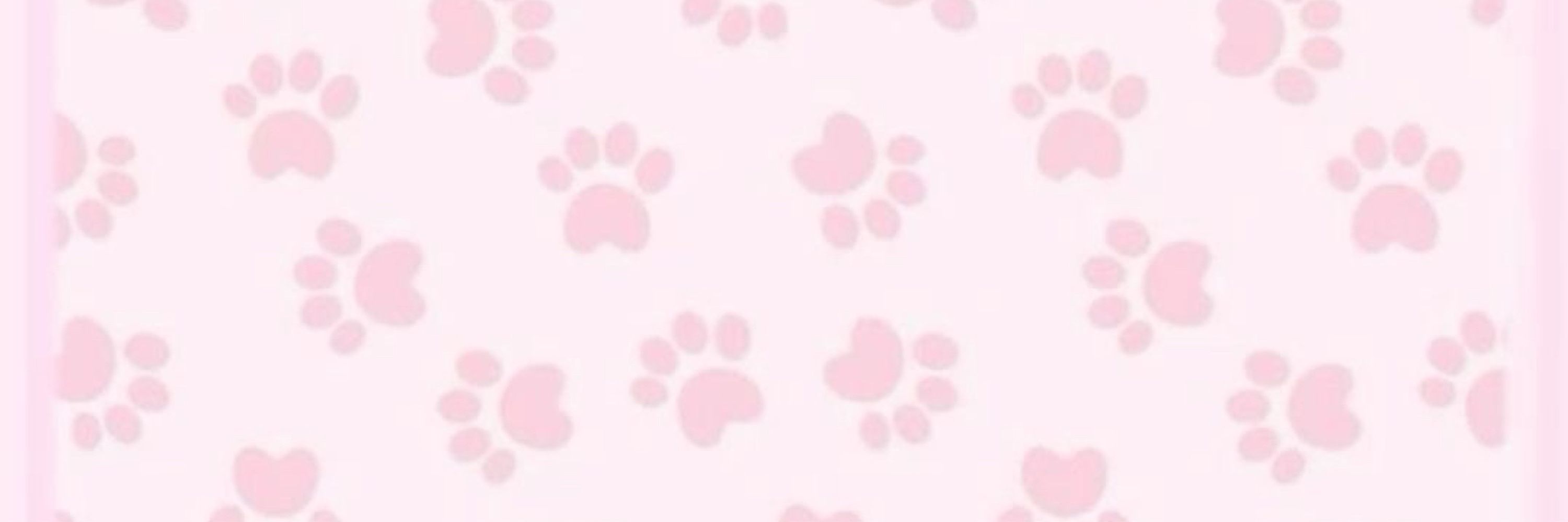Angelpup
