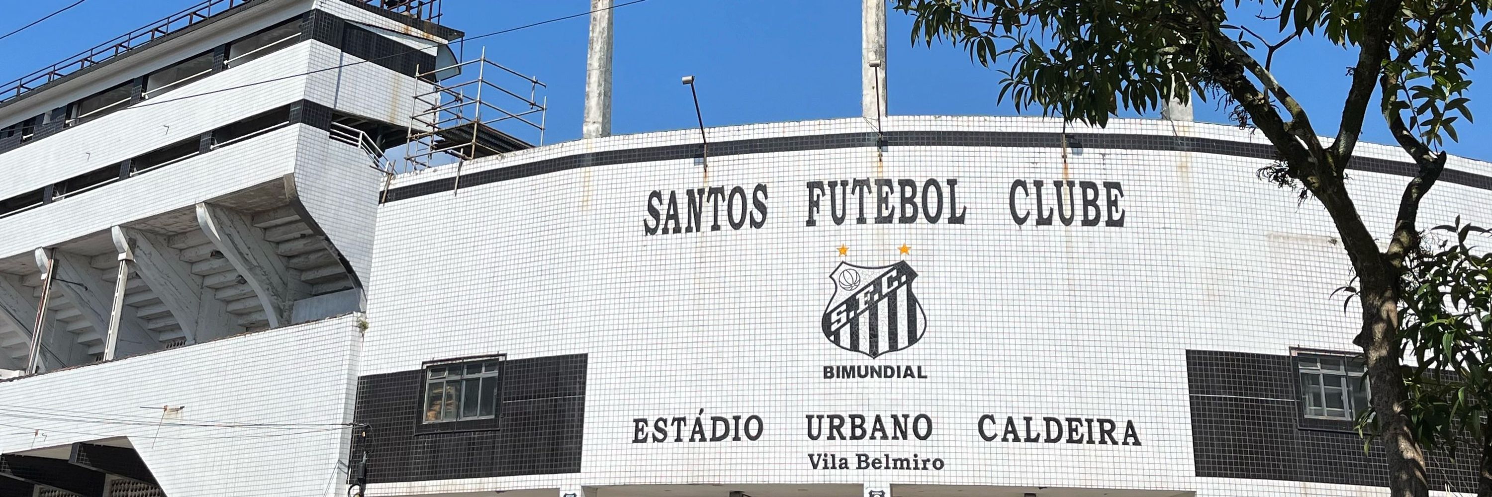 Biancola Santista