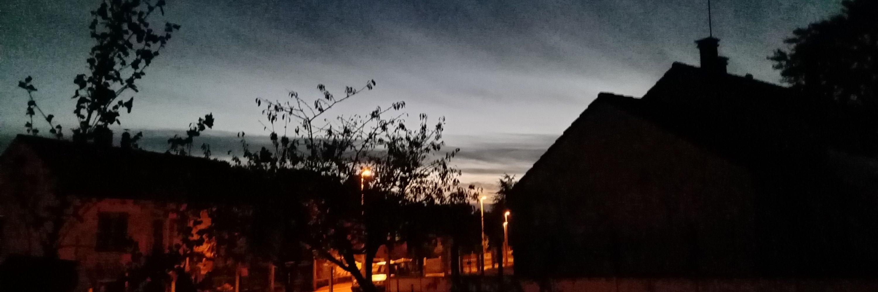 Feynoit