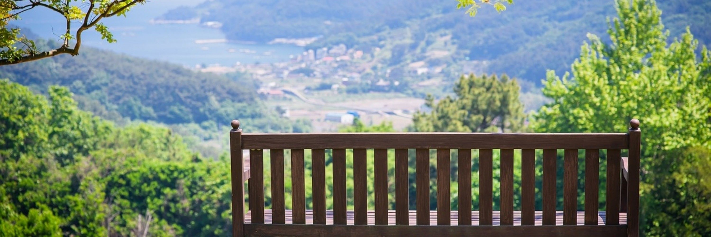 블친소 옐레트