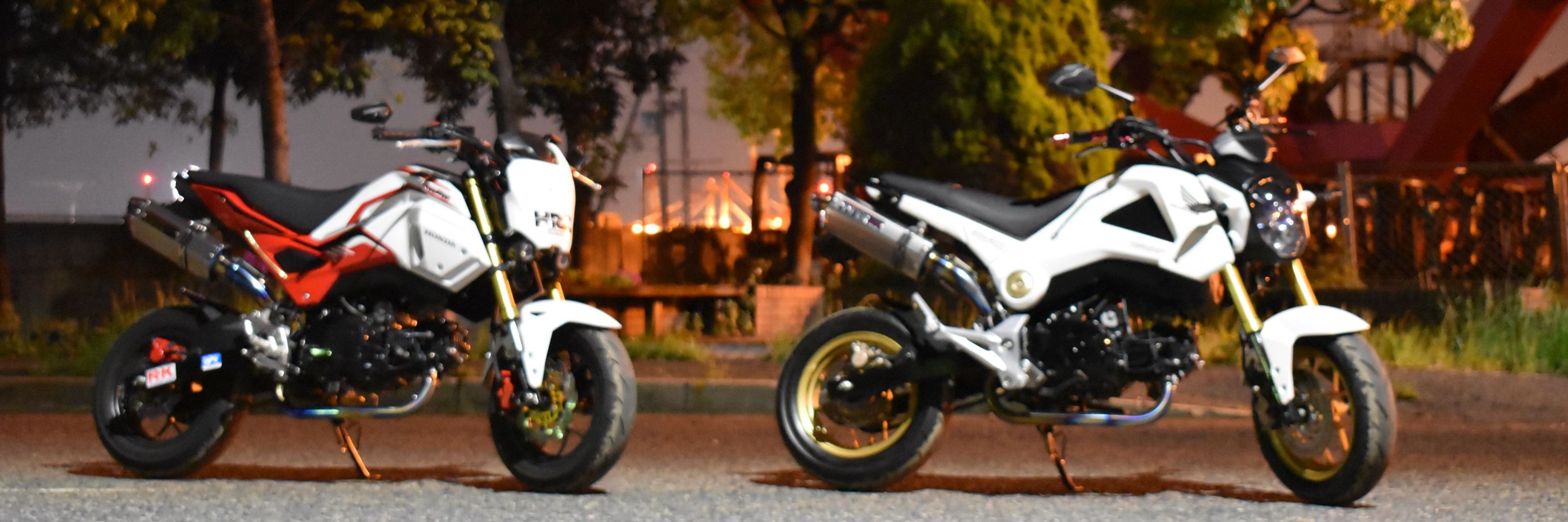 fox_grom