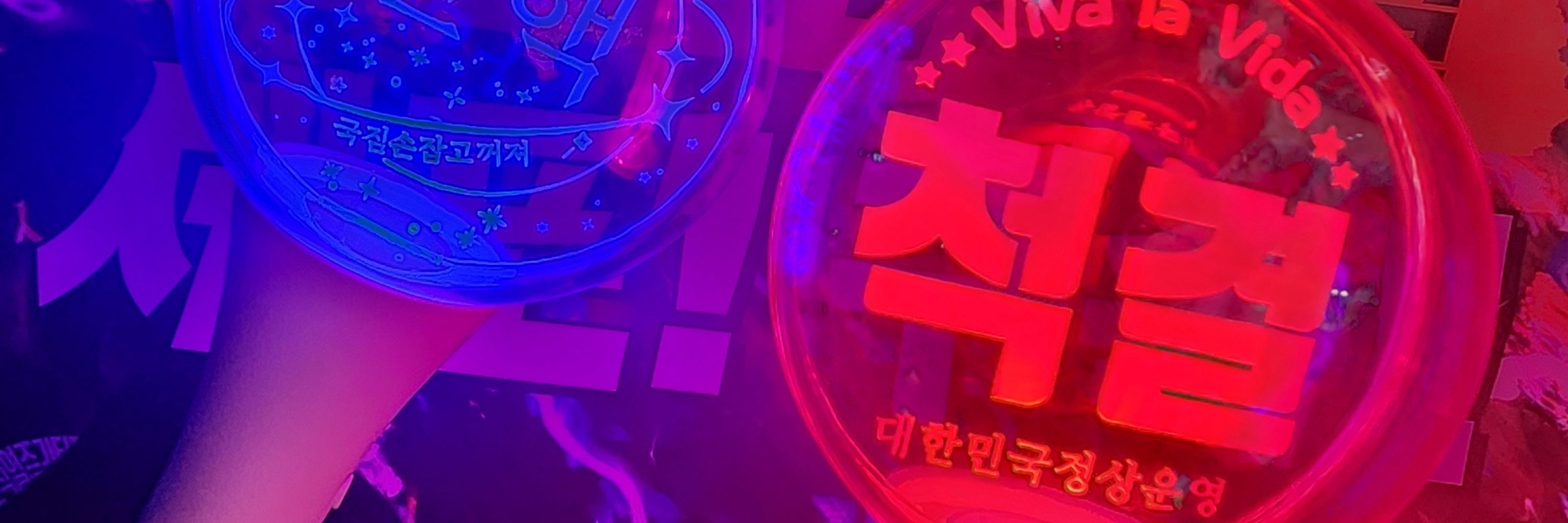 무화과꽃